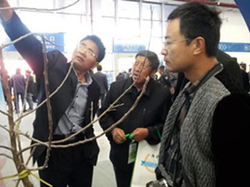 lehu - 乐虎 -(88国际)唯一官方网站