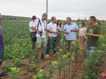 lehu - 乐虎 -(88国际)唯一官方网站