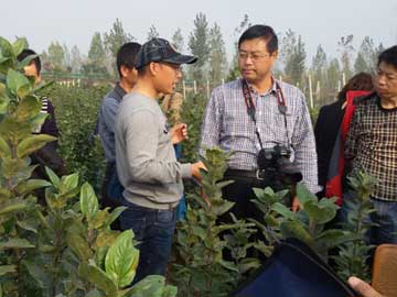 lehu - 乐虎 -(88国际)唯一官方网站