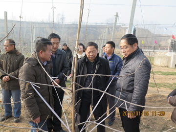 lehu - 乐虎 -(88国际)唯一官方网站