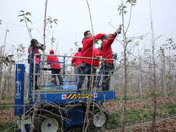 lehu - 乐虎 -(88国际)唯一官方网站