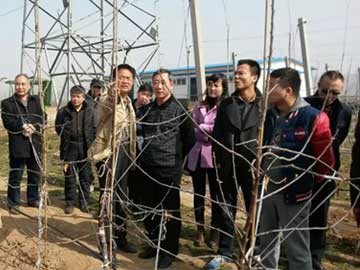 lehu - 乐虎 -(88国际)唯一官方网站