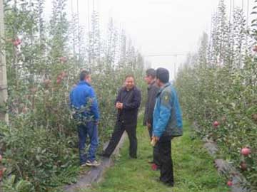 lehu - 乐虎 -(88国际)唯一官方网站