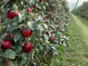 lehu - 乐虎 -(88国际)唯一官方网站