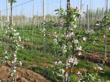 lehu - 乐虎 -(88国际)唯一官方网站