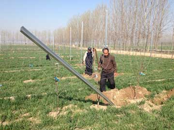 lehu - 乐虎 -(88国际)唯一官方网站