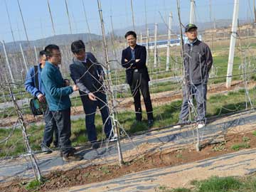 lehu - 乐虎 -(88国际)唯一官方网站