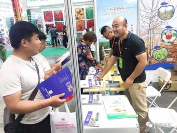 lehu - 乐虎 -(88国际)唯一官方网站