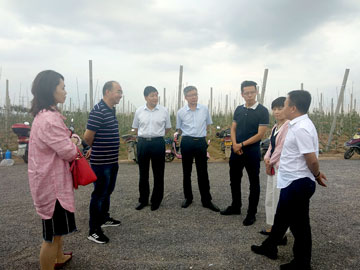 lehu - 乐虎 -(88国际)唯一官方网站