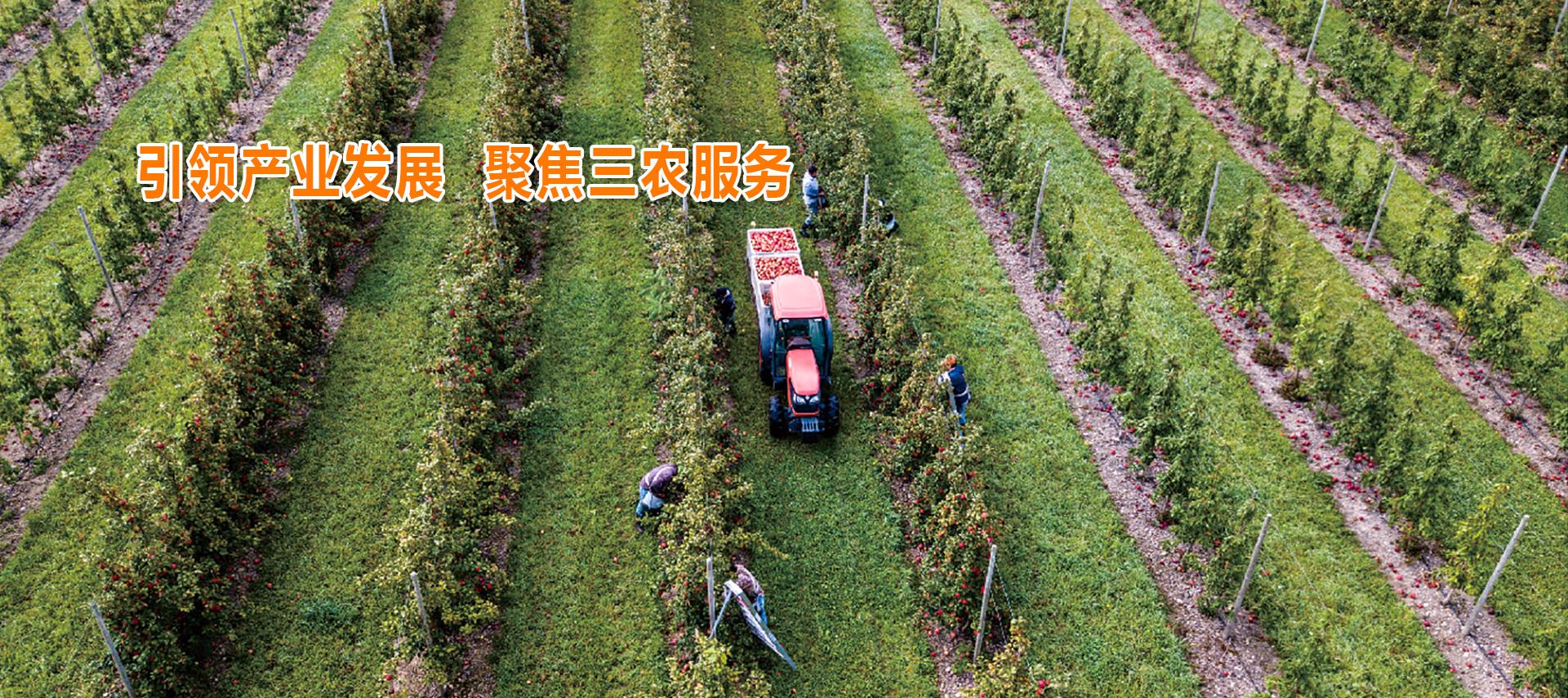 lehu - 乐虎 -(88国际)唯一官方网站