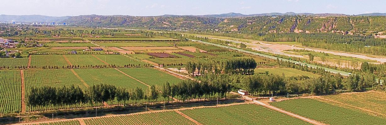 lehu - 乐虎 -(88国际)唯一官方网站