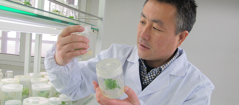 lehu - 乐虎 -(88国际)唯一官方网站