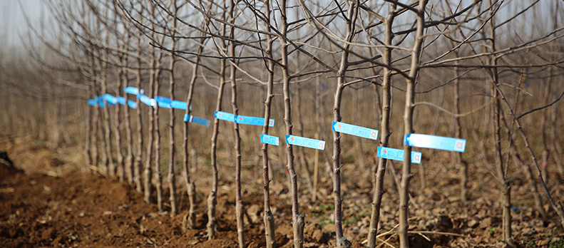 lehu - 乐虎 -(88国际)唯一官方网站