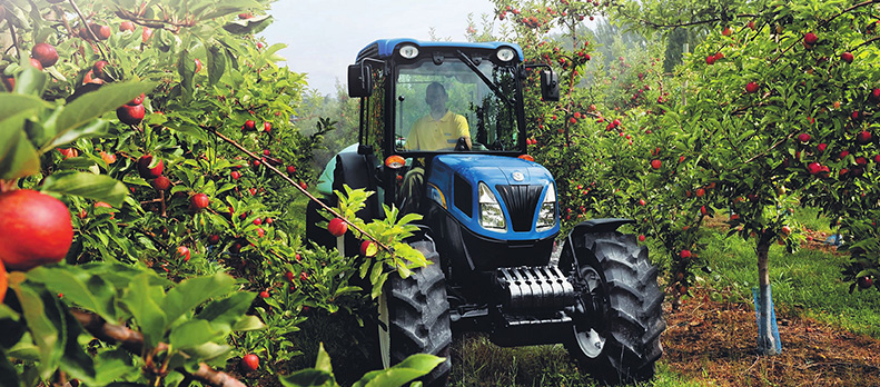 lehu - 乐虎 -(88国际)唯一官方网站