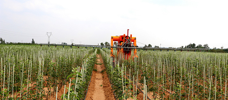 lehu - 乐虎 -(88国际)唯一官方网站