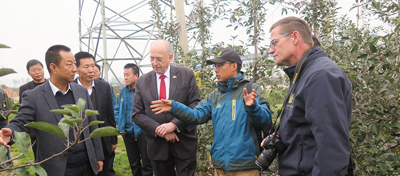 lehu - 乐虎 -(88国际)唯一官方网站