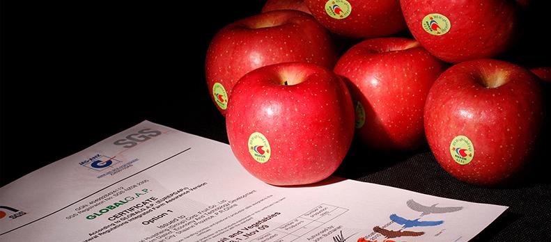 lehu - 乐虎 -(88国际)唯一官方网站