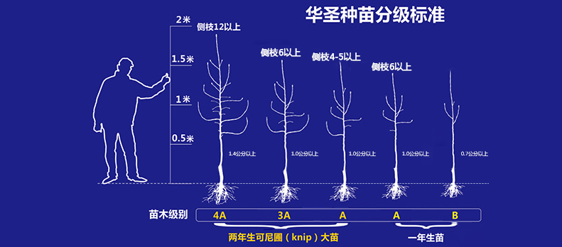 lehu - 乐虎 -(88国际)唯一官方网站