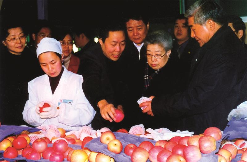 2000年11月20日中共中央政治局委员、国务院副总理吴仪视察lehu乐虎果业.jpg