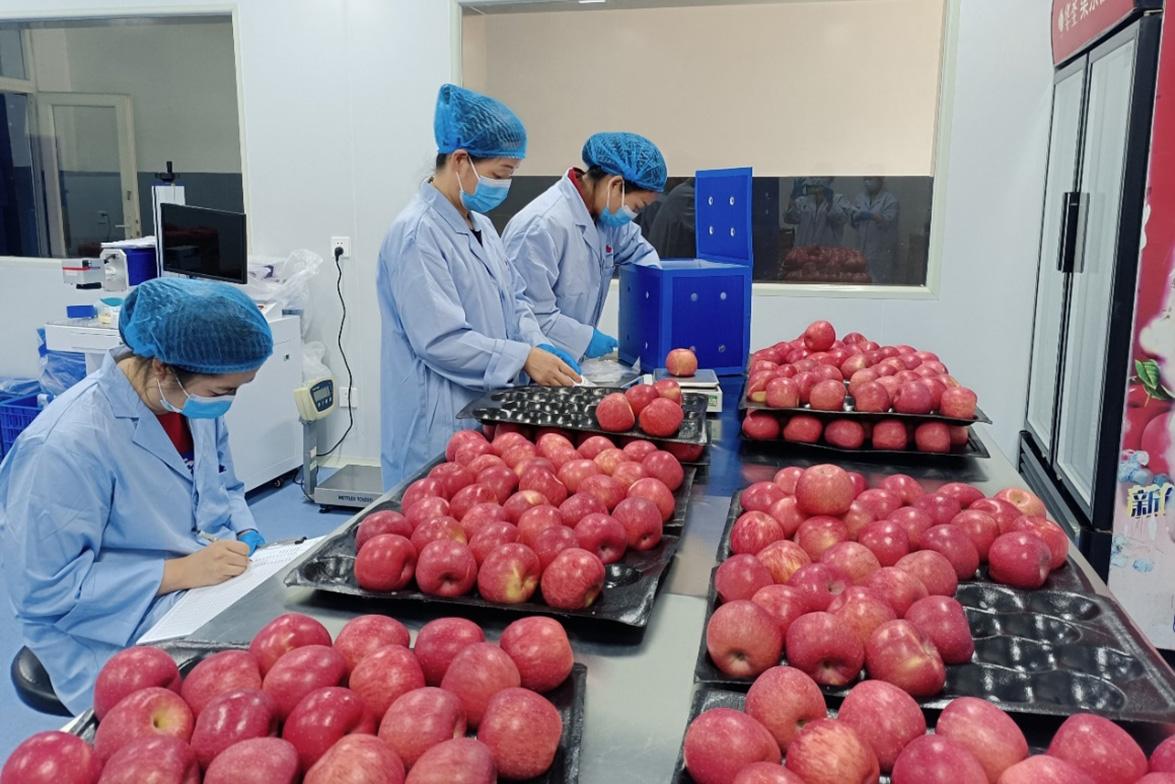 lehu - 乐虎 -(88国际)唯一官方网站