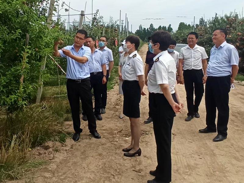 lehu - 乐虎 -(88国际)唯一官方网站