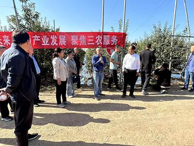 lehu - 乐虎 -(88国际)唯一官方网站