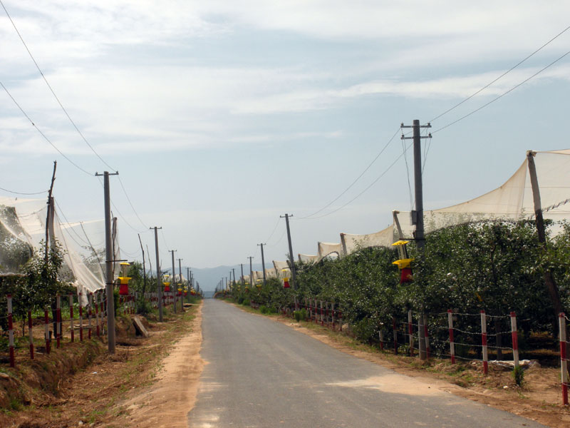 lehu - 乐虎 -(88国际)唯一官方网站