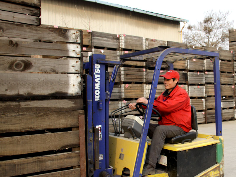 lehu - 乐虎 -(88国际)唯一官方网站