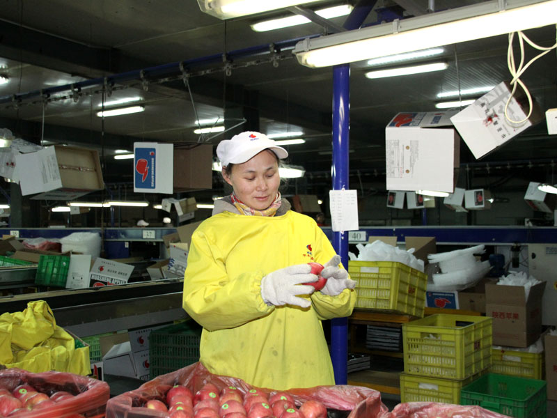 lehu - 乐虎 -(88国际)唯一官方网站