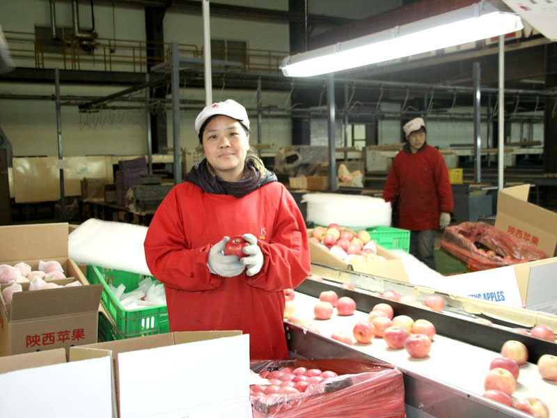 lehu - 乐虎 -(88国际)唯一官方网站