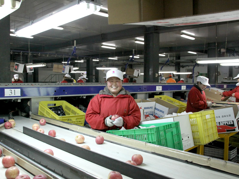 lehu - 乐虎 -(88国际)唯一官方网站