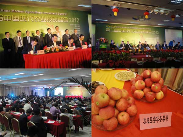 lehu - 乐虎 -(88国际)唯一官方网站