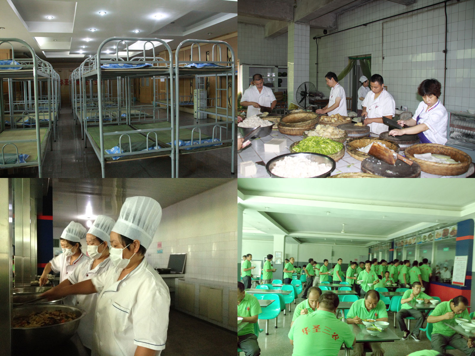 lehu - 乐虎 -(88国际)唯一官方网站