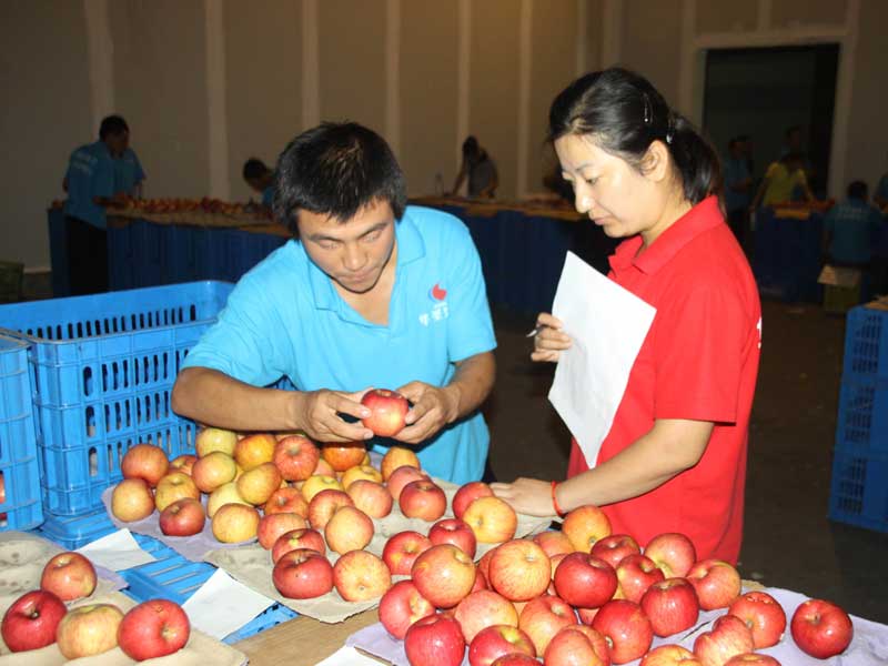 lehu - 乐虎 -(88国际)唯一官方网站