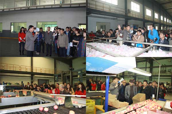 lehu - 乐虎 -(88国际)唯一官方网站