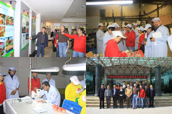 lehu - 乐虎 -(88国际)唯一官方网站