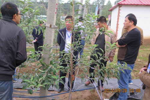 lehu - 乐虎 -(88国际)唯一官方网站