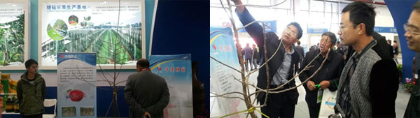 lehu - 乐虎 -(88国际)唯一官方网站