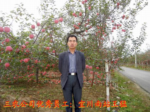 lehu - 乐虎 -(88国际)唯一官方网站