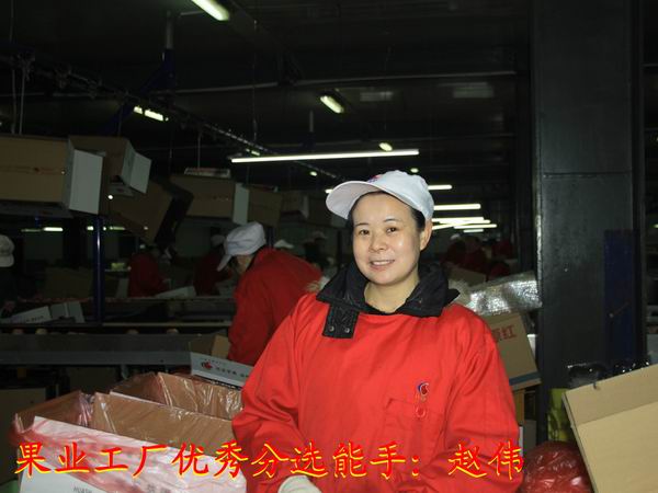 lehu - 乐虎 -(88国际)唯一官方网站