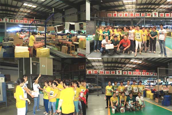 lehu - 乐虎 -(88国际)唯一官方网站