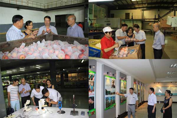 lehu - 乐虎 -(88国际)唯一官方网站