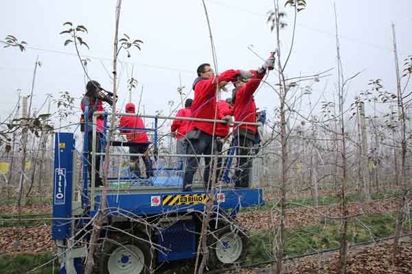 lehu - 乐虎 -(88国际)唯一官方网站