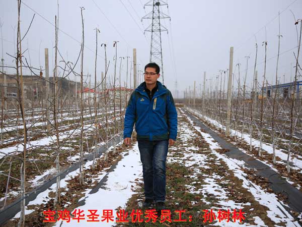 lehu - 乐虎 -(88国际)唯一官方网站