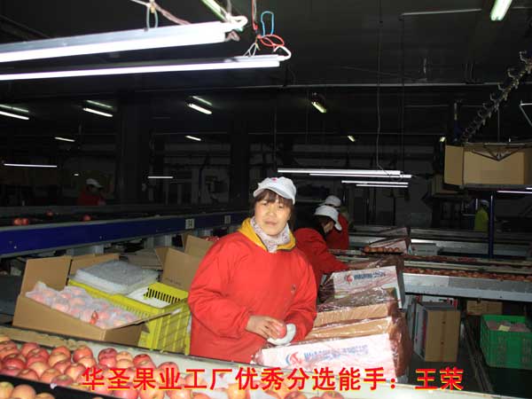 lehu - 乐虎 -(88国际)唯一官方网站