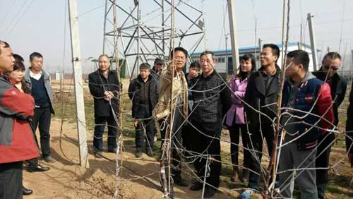 lehu - 乐虎 -(88国际)唯一官方网站