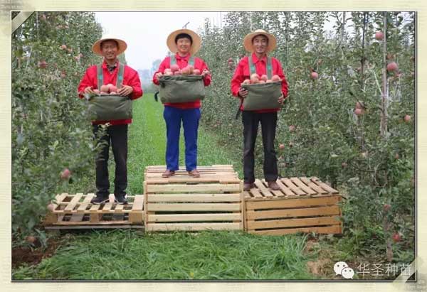 lehu - 乐虎 -(88国际)唯一官方网站