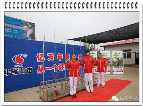 lehu - 乐虎 -(88国际)唯一官方网站