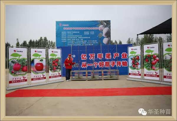 lehu - 乐虎 -(88国际)唯一官方网站