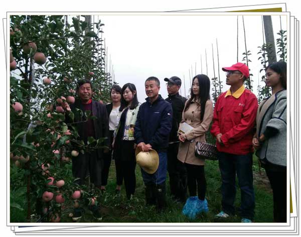 lehu - 乐虎 -(88国际)唯一官方网站